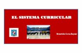 Criterios pedagogicos y el  sistema curricular  ccesa007