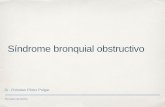 Sindrome bronquial obstructivo