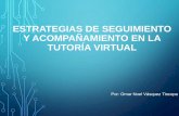 Estrategias de seguimiento y acompañamiento en la tutoría virtual