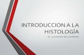 Introduccion a la histología