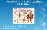 1.1.1 introducción. anatomía y fisiología humana. cuerpo humano