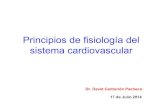 01 principios de fisiologia del sistema cardiovascular