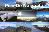 Pico de naiguatá