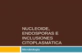 Nucleoide, endosporas e inclusiones citoplasmática