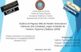 analisis de páginas web de hoteles de Valencia, Estado Carabobo, Venezuela