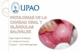 Patología Cavidad Oral y Glándulas Salivales