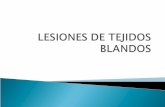 LESIONES DE TEJIDOS BLANDOS