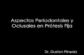 Aspectos Periodontales Y Oclusales En PróTesis Fija