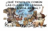 ¿En qué se parecen las clases de lengua al mundo animal?