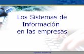 Sistemas de información en la empresa isw