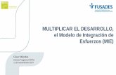 MULTIPLICAR EL DESARROLLO, el Modelo de Integración de Esfuerzos (MIE)