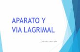 Aparato Lagrimal y Vía Lagrimal
