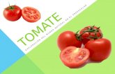 Reporte de la descomposición del tomate
