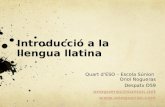 Introducció llengua llatina