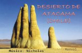 Deserto de Atacama - FOTOS