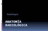 Anatomía radiológica
