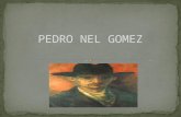 Pedro nel gomez