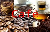 Características del cafe1