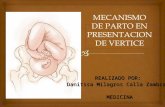 Mecanismo de parto MODALIDAD DE VERTICE, MODALIDAD CEFALICA, PARTO NORMAL