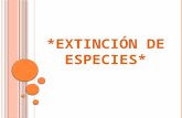 extinción de especies