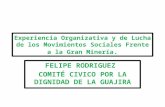 Experiencia Organizativa y de Lucha de los Movimientos Sociales Frente a la Gran Minería - Felipe Rodríguez