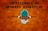 Infecciones del aparato digestivo - Diarreas