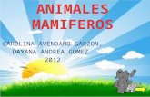 los animales mamiferos