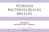 Técnicas bacteriológicas básicas 2 2013