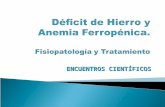 Anemia ferropenica  2009