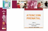 03.atencion prenatal