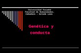 GENETICA Y CONDUCTA_ciclo celular