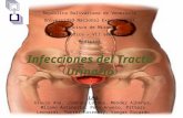 Infecciones de tracto urinario