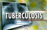 Tuberculosis patologia