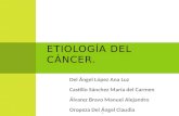 3   Etiologia Del Cancer 2010