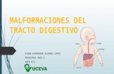 Malformaciones del tracto digestivo