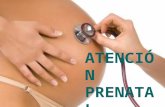 Tema 1   atención prenatal
