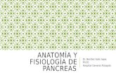 Anatomia y fisiología de páncreas