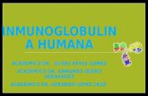 Inmunoglobulina humana
