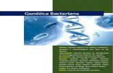 3. genetica bacteriana