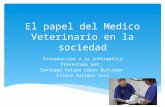 El papel del medico veterinario en la sociedad