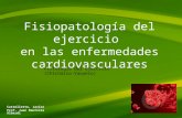 Fisiopatología del ejercicio en las enfermedades cardiovasculares
