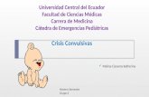 Convulsiones emergencias pediatricas (Casos Clinicos Estatus epiléptico, crisis febriles)