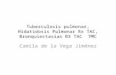 Tuberculosis, hidatidosis, bronquiectasias  Rx, TAC dx por imagen