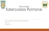 Tuberculosis Pulmonar Mexico