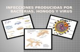 Infecciones producidas por bacterias, hongos y virus