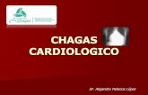Chagas cardiologico dr.palacios