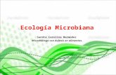 Ecologia microbiana