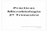 Prácticas microbiología 2º trimestre