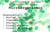 Microorganismos intestinales