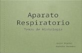 Aparato Respiratorio_ Histología